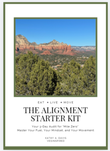 workbook cover for the Alignment Starter kit