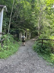 Man hiking on wide trail under green trees.