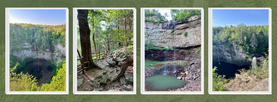 4 Photos of Fall Creek Falls State Park