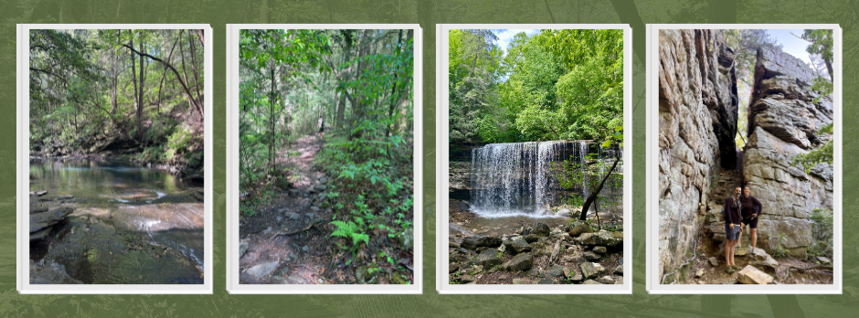 4 photos of Savage Gulf State Park